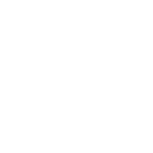 Amazon partner